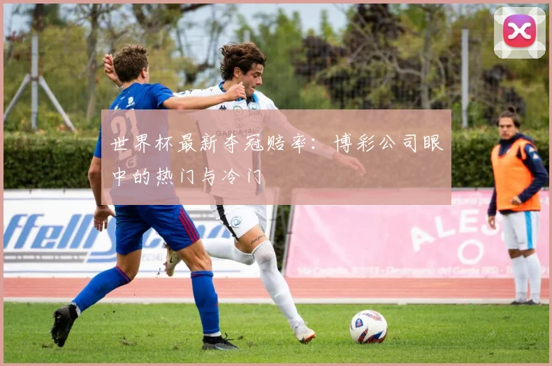 世界杯最新夺冠赔率：博彩公司眼中的热门与冷门